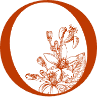 Logo du restaurant L'Orangerie de Montargis